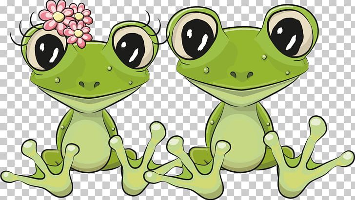 Frog Lithobates Clamitans Cuteness PNG, Clipart, Animal, Animal Lovers, Cartoon, Cartoon Character, Cartoon Eyes Free PNG Download