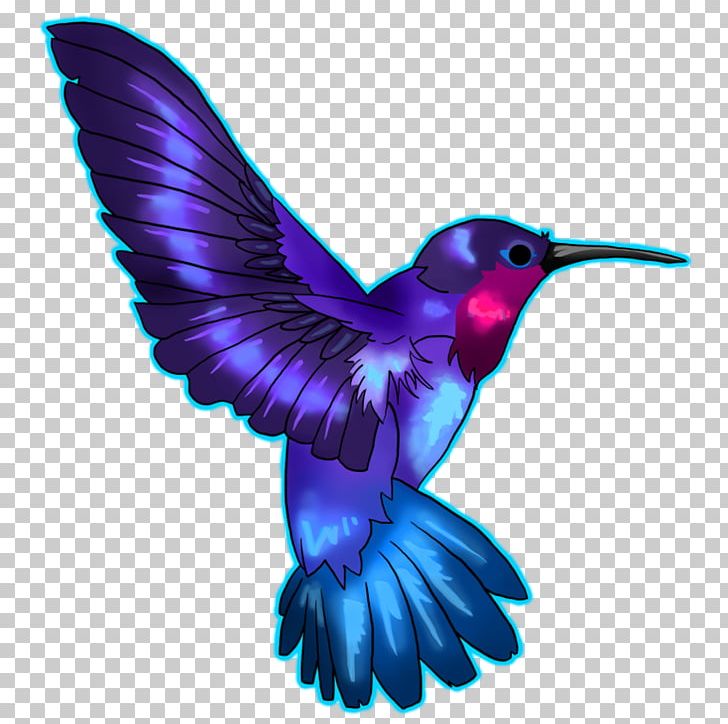 blue hummingbird drawing