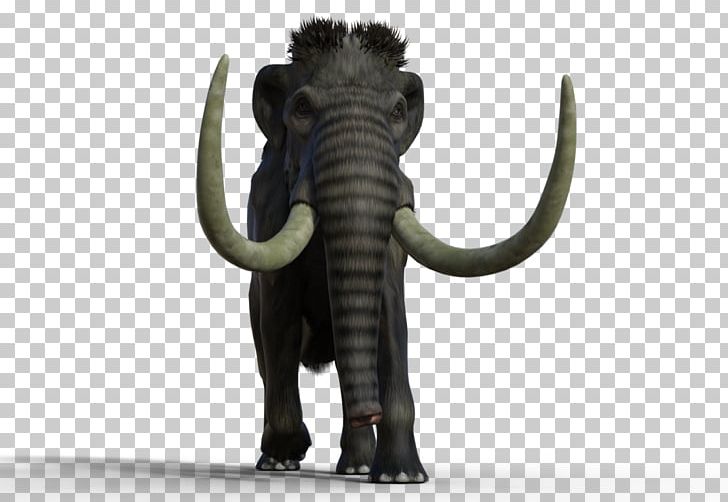 Indian Elephant African Elephant Mammoth Lakes Tusk PNG, Clipart, African Elephant, Animal, Elephant, Elephantidae, Elephants And Mammoths Free PNG Download