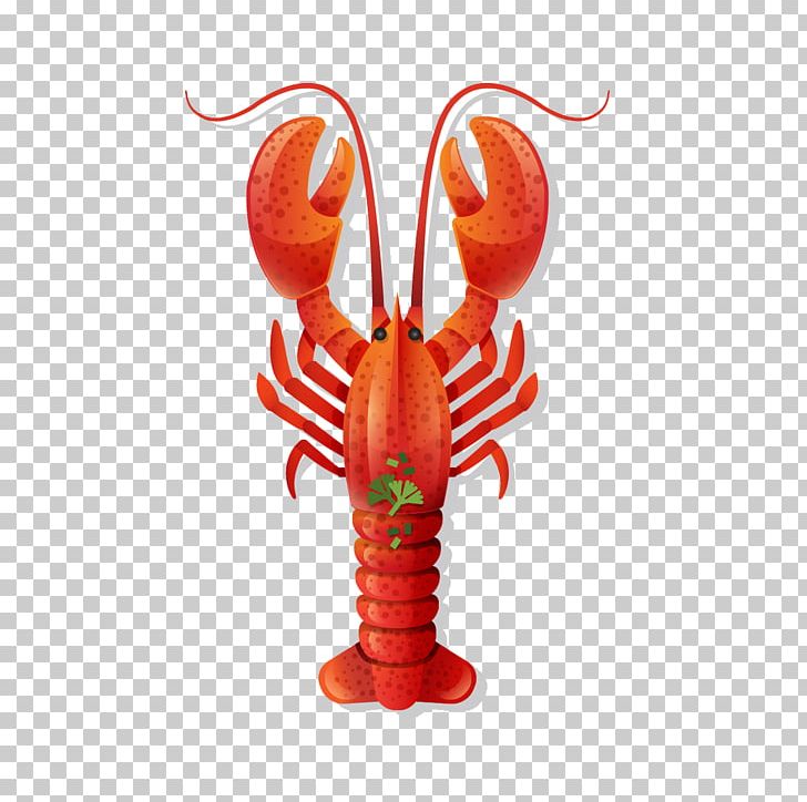 Seafood Palinurus Elephas PNG, Clipart, Animals, Balloon Cartoon, Big, Big Lobster, Big Red Free PNG Download