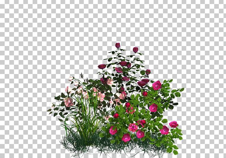 Flower Garden Rose Garden PNG, Clipart, Annual Plant, Bench, Cut Flowers, Fence, Flora Free PNG Download