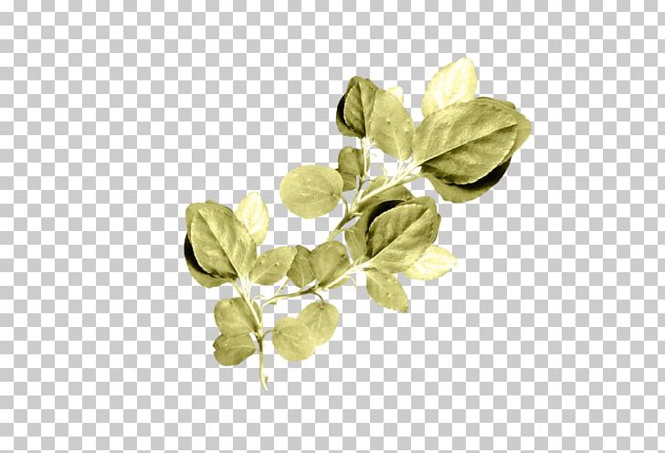 Leaf Branch Cloud Tree PNG, Clipart, Birch, Branch, Cloud, Desktop Wallpaper, Digital Image Free PNG Download