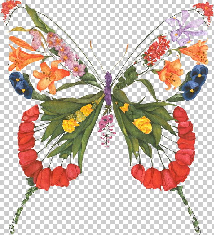 Painting Drawing Graphics Paper Butterfly PNG, Clipart,  Free PNG Download