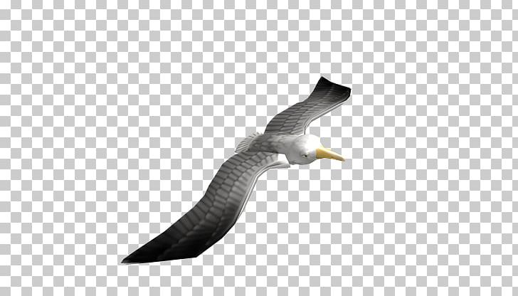 Roblox Avatar Massively Multiplayer Online Game Bald Eagle PNG, Clipart, Avatar, Bald Eagle, Beak, Bird, Eagle Free PNG Download