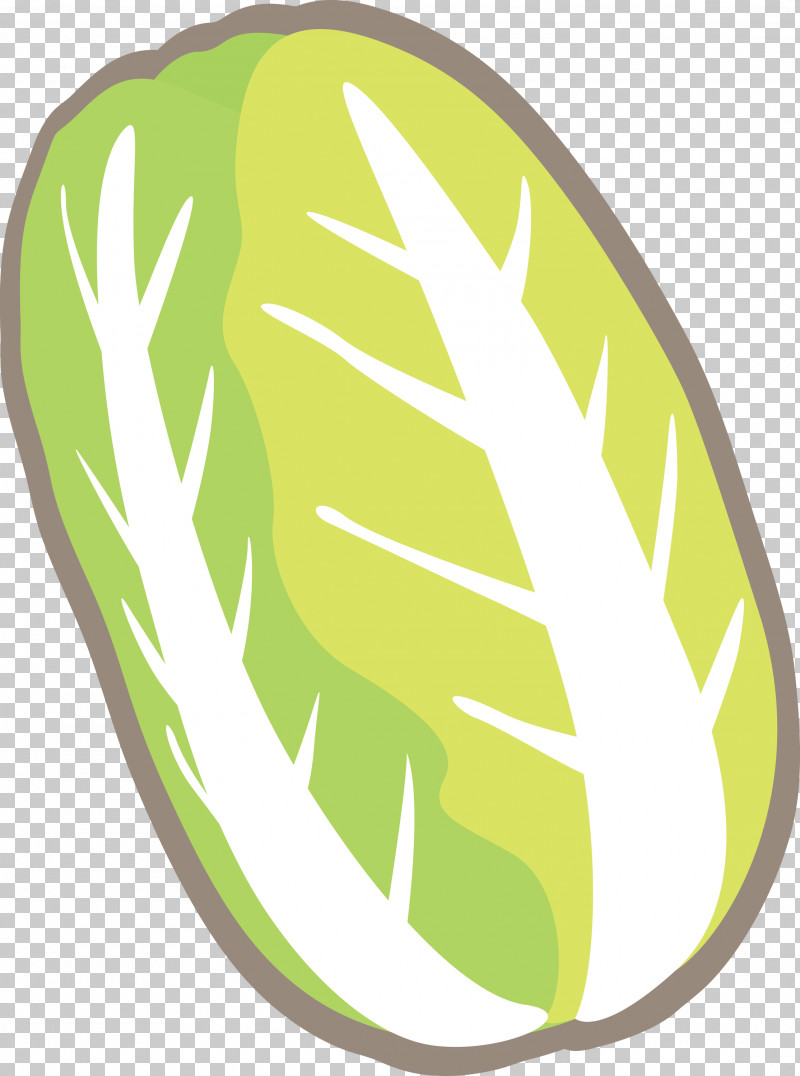 Nappa Cabbage PNG, Clipart, Fruit, Green, Leaf, Melon, Nappa Cabbage Free PNG Download