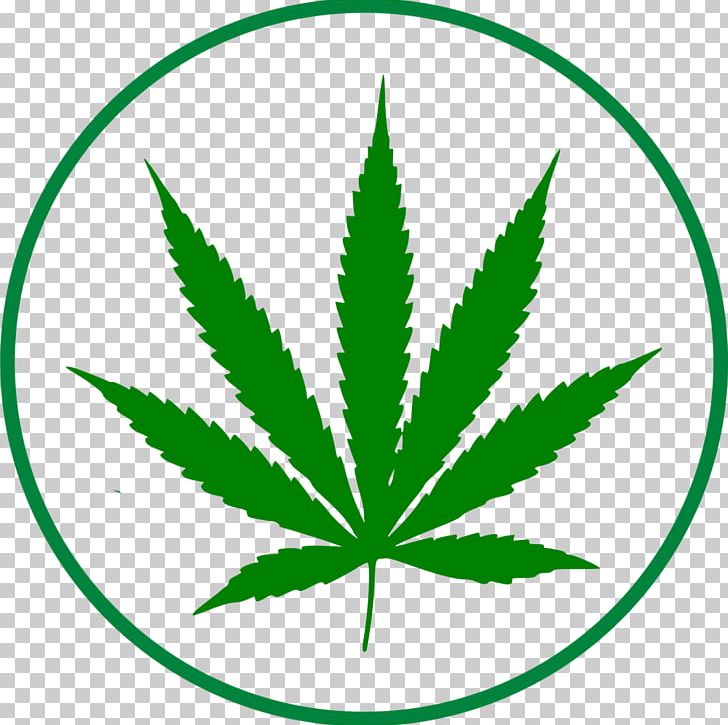 Cannabis Open Graphics PNG, Clipart, Cannabis, Cannabis Smoking, Diagram, Download, Drawing Free PNG Download