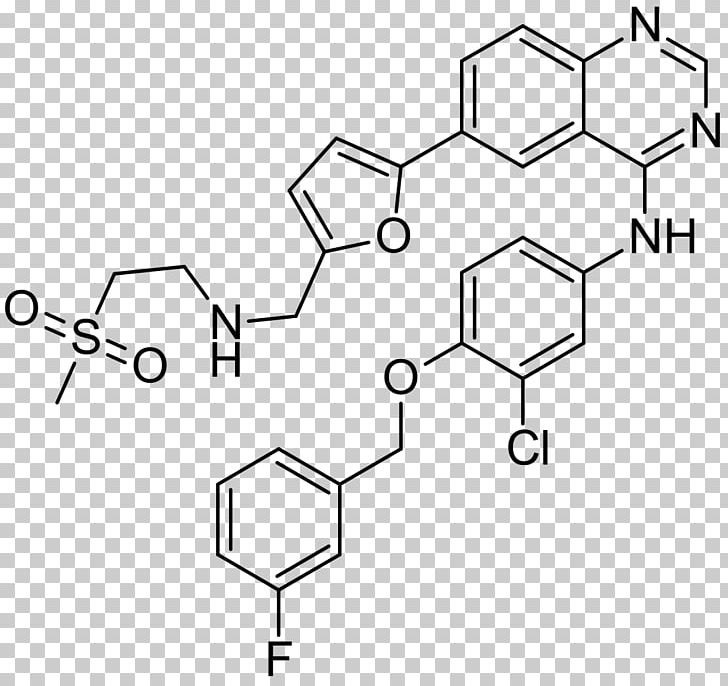 Lapatinib Epidermal Growth Factor Receptor HER2/neu Breast Cancer Pharmaceutical Drug PNG, Clipart, Action, Angle, Antineoplastic, Area, Auto Part Free PNG Download