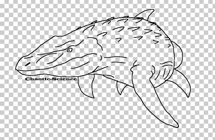 Mosasaurus Line Art Drawing Tylosaurus PNG, Clipart, Area, Artwork, Beak, Black And White, Color Free PNG Download