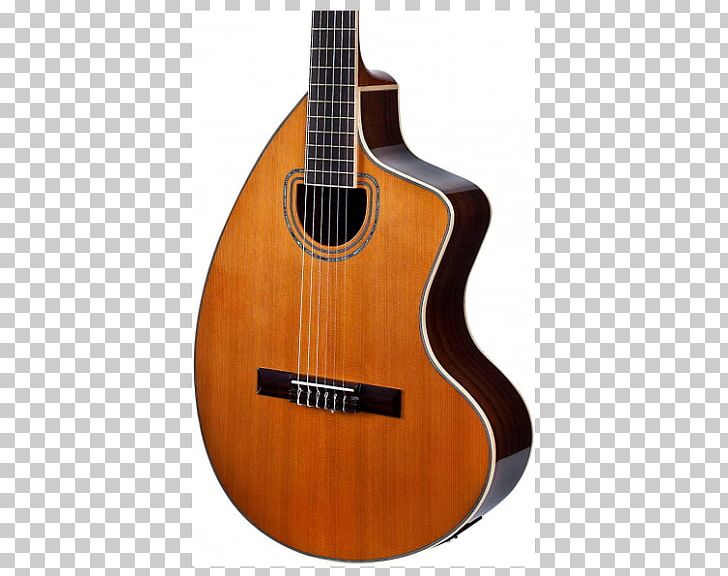 Takamine Guitars Takamine G Series GD30CE Acoustic Electric Dreadnought Twelve-string Guitar Cutaway PNG, Clipart, Acoustic Electric Guitar, Cuatro, Cutaway, Epiphone, Guitar Accessory Free PNG Download