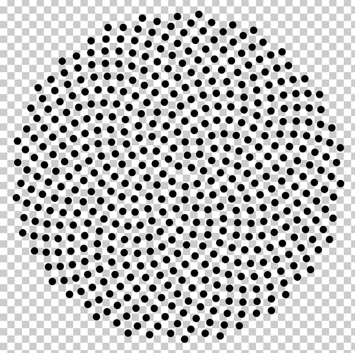 Quasicrystal Fibonacci Number Spiral Patterns In Nature Circle PNG, Clipart, Area, Black, Black And White, Common Sunflower, Diffraction Free PNG Download