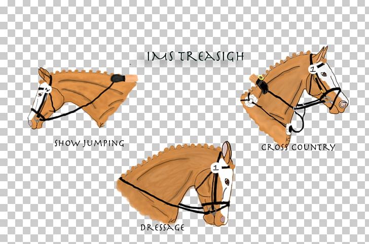 Bridle Horse Harnesses Rein Halter PNG, Clipart, Animals, Bit, Bridle, Halter, Horse Free PNG Download