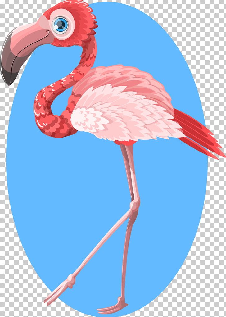 Flamingo PNG, Clipart, Animals, Beak, Bird, Download, Feather Free PNG Download