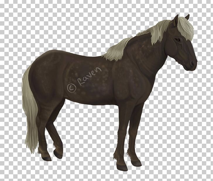 Shire Horse Percheron Foal Mare Toy PNG, Clipart, Breyer Animal Creations, Colt, Draft Horse, Equestrian, Foal Free PNG Download