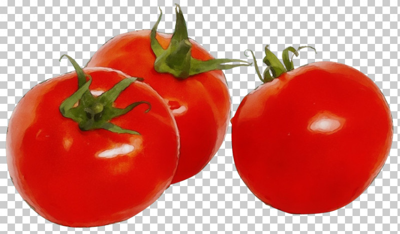 Salad PNG, Clipart, Bush Tomato, Cherry Tomatoes, Datterino Tomato, Guacamole, Paint Free PNG Download