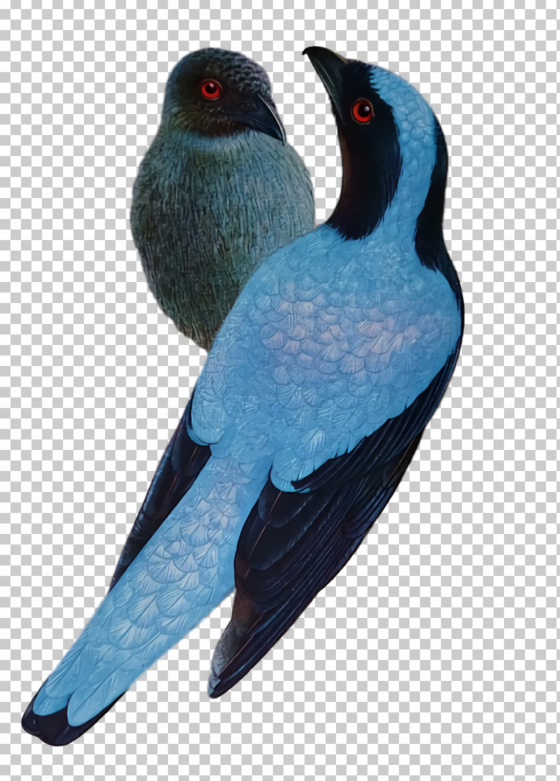 Cobalt Blue Beak Cobalt PNG, Clipart, Beak, Cobalt, Cobalt Blue Free PNG Download