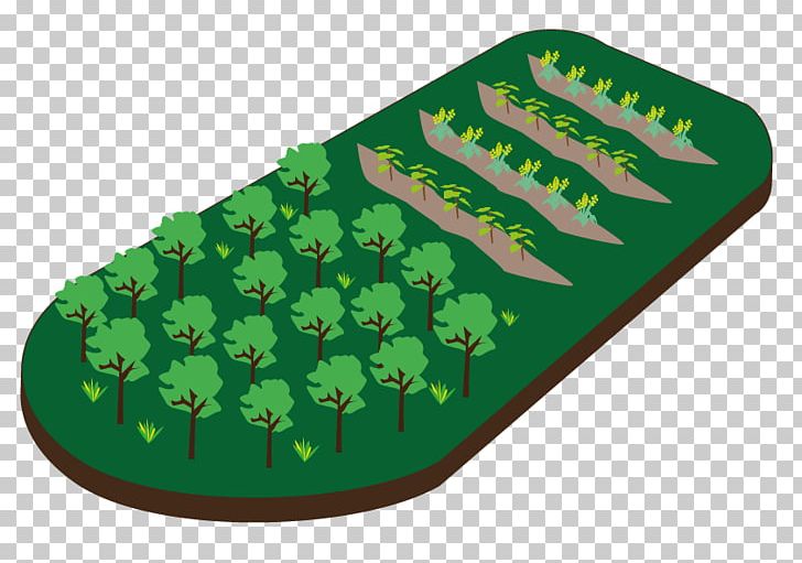 Afforestation Reforestation Woodlot Agroforestry Deforestation PNG, Clipart, Afforestation, Agroforestry, Deforestation, Erosion, Farm Free PNG Download