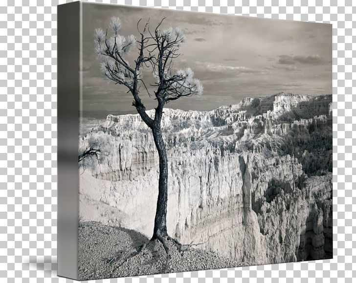 Bryce Canyon National Park Gallery Wrap Painting /m/083vt Monochrome Photography PNG, Clipart, Art, Black And White, Bryce Canyon National Park, Canvas, Gallery Wrap Free PNG Download