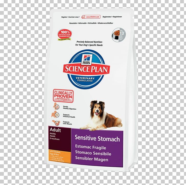 Dog Cat Puppy Science Diet Hill's Pet Nutrition PNG, Clipart,  Free PNG Download