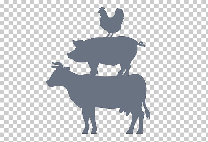 Cattle Pig Livestock Farm Agriculture PNG, Clipart, Animal Husbandry, Animals, Black And White, Bovinicoltura, Cattle Free PNG Download