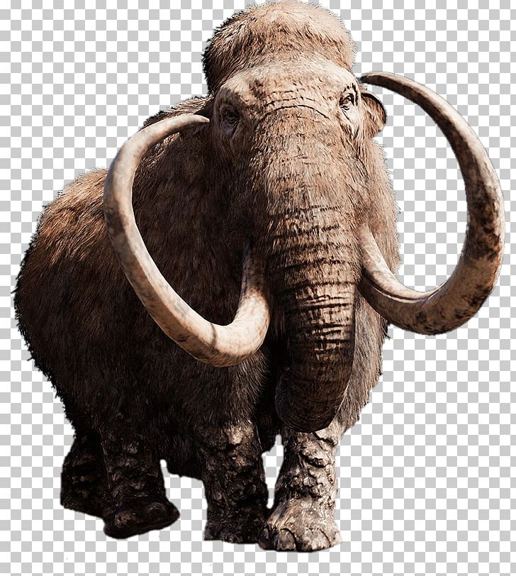 Far Cry Primal Far Cry 4 Woolly Mammoth Far Cry 5 Video Game PNG, Clipart, African Elephant, Dlc, Downloadable Content, Elephant, Elephants And Mammoths Free PNG Download