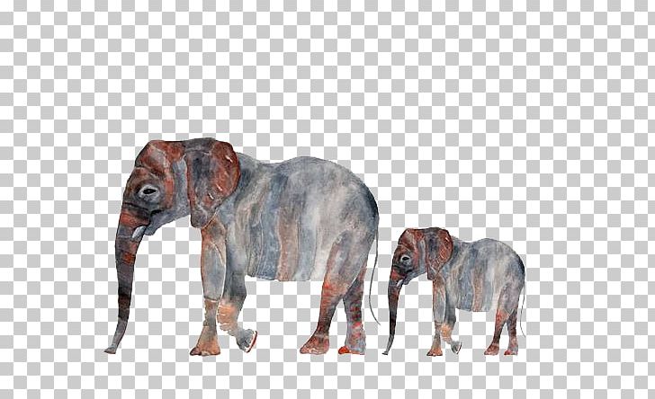 IPhone 3GS Elephant Dog Breed Decal PNG, Clipart, Animal, Animals, Baby Elephant, Carnivoran, Cartoon Free PNG Download