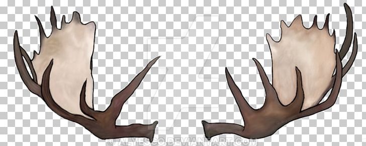 Moose Deer Antler Drawing Rudolph PNG, Clipart, Animals, Antler, Art, Cartoon, Deer Free PNG Download