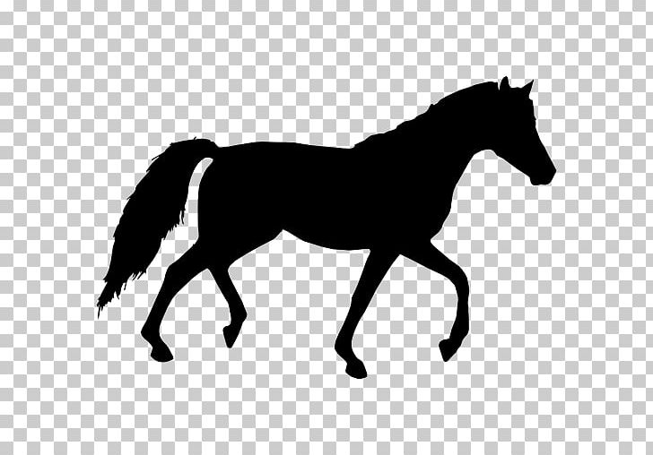Tennessee Walking Horse Equestrian PNG, Clipart, Black, Black And White, Bridle, Canter And Gallop, Colt Free PNG Download