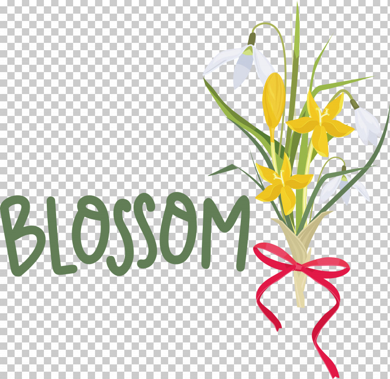 Floral Design PNG, Clipart, Cut Flowers, Floral Design, Flower, Line, Meter Free PNG Download