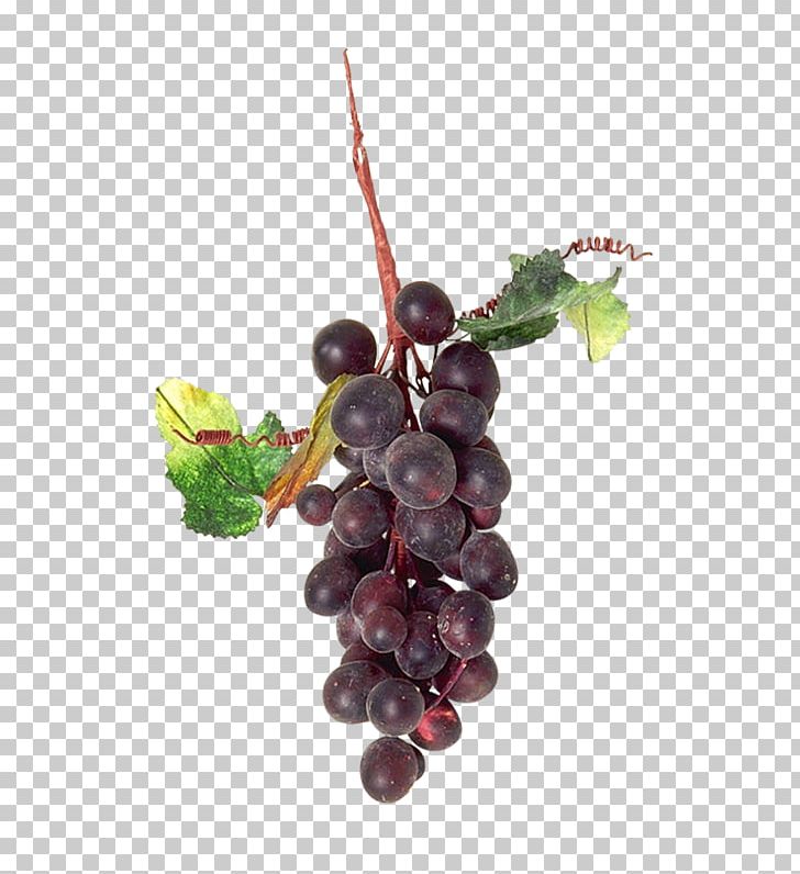 Grape Auglis Zante Currant PNG, Clipart, Black Grapes, Bunch, Bunch Of Flowers, Download, Flower Bunch Free PNG Download