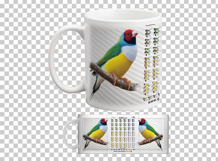 Mug Parakeet Cup Pet PNG, Clipart, Beak, Bird, Common Pet Parakeet, Cup, Drinkware Free PNG Download