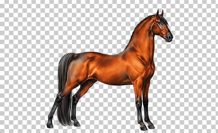 Stallion Mustang Tennessee Walking Horse Thoroughbred Appaloosa PNG, Clipart, Animal Figure, Appaloosa, Black, Colt, Cream Locus Free PNG Download