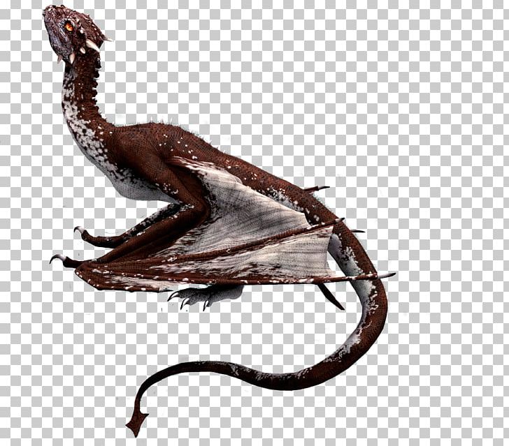 Stock Reptile Photography PNG, Clipart, 21 December, Art, Artist, Brush, Community Free PNG Download