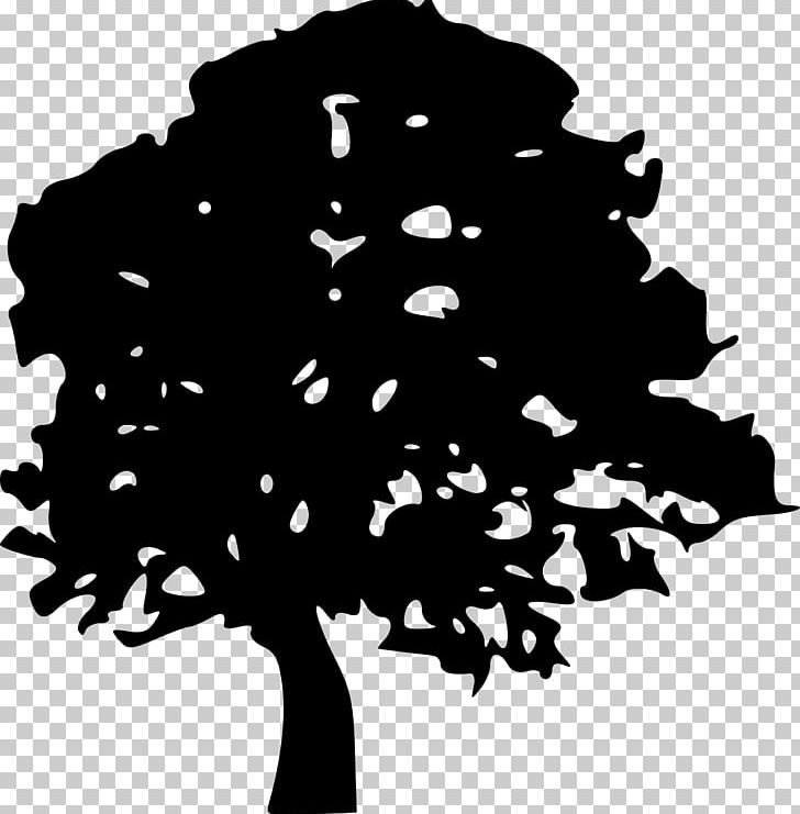Tree Oak Silhouette PNG, Clipart, Autumn Leaf Color, Black, Black And White, Branch, Drawing Free PNG Download