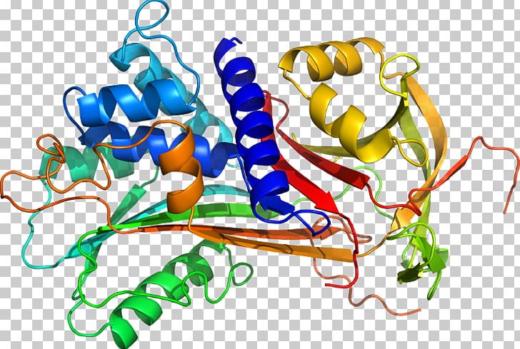 Alpha-1-proteinase Inhibitor Alpha 1-antitrypsin Deficiency Protein Structure PNG, Clipart, Alpha 1antitrypsin Deficiency, Area, Art, Artwork, Cure Free PNG Download