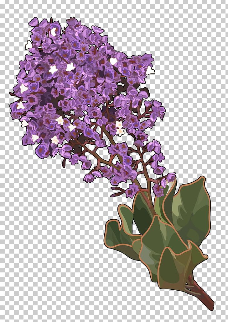 La Palma Limonium Arborescens Cut Flowers Gran Canaria Limonium Sinuatum PNG, Clipart, Branch, Canary Islands, Cut Flowers, Flora De Canarias, Flower Free PNG Download