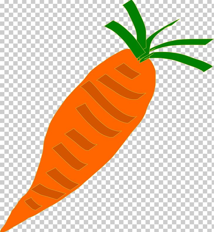 Carrot Vegetable PNG, Clipart, Arracacia Xanthorrhiza, Baby Carrot, Carrot, Computer Icons, Download Free PNG Download