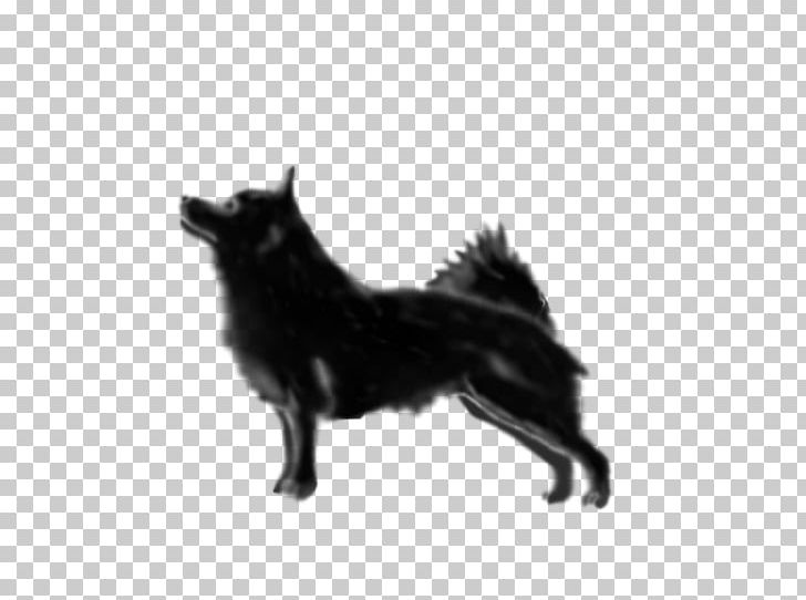 Schipperke Rare Breed (dog) Dog Breed Breed Group (dog) Snout PNG, Clipart, Black, Black And White, Breed, Breed Group Dog, Carnivoran Free PNG Download