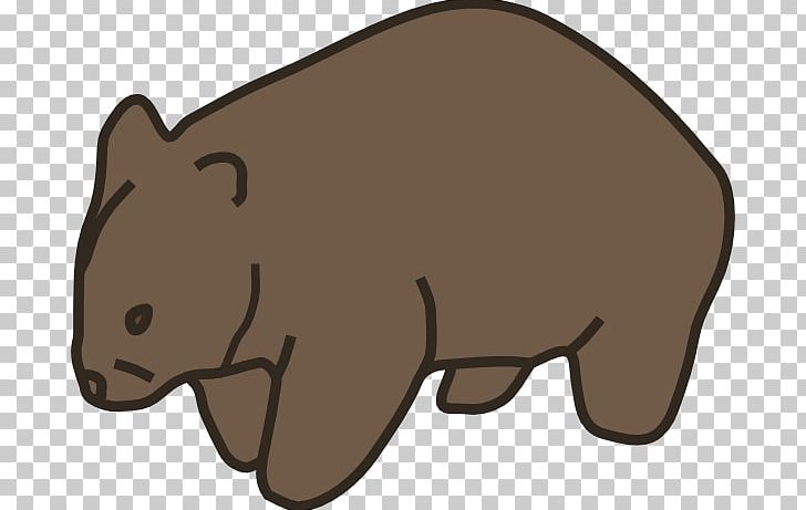 Wombat Free Content PNG, Clipart, Bear, Carnivoran, Cartoon, Cartoonwombat, Cat Like Mammal Free PNG Download
