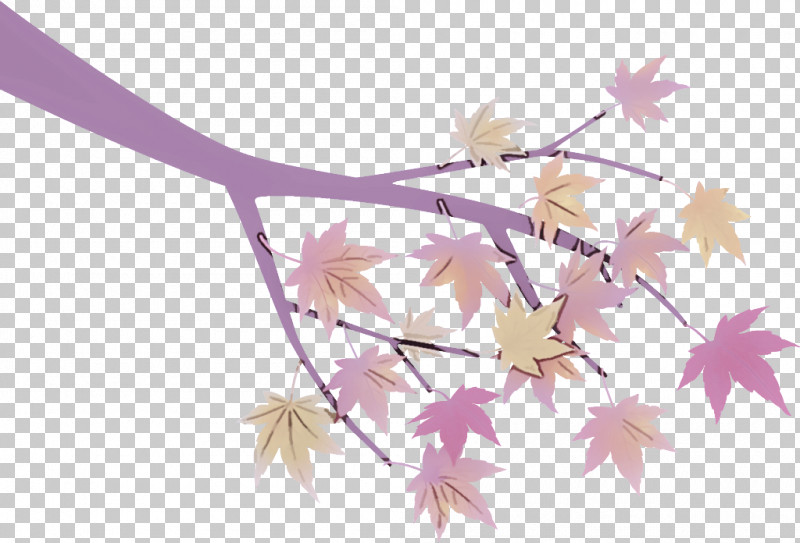 Maple Tree Branch Maple Tree Autumn PNG, Clipart, Autumn, Branch, Flower, Leaf, Maple Leaf Free PNG Download