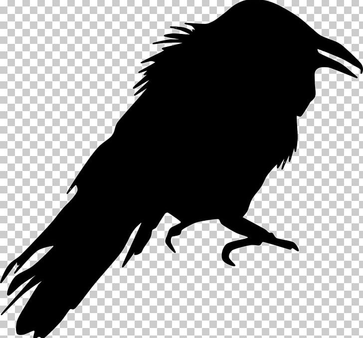 Crow Silhouette Bird PNG, Clipart, American Crow, Animals, Beak, Bird, Bird Of Prey Free PNG Download