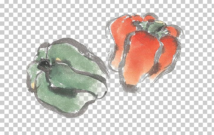 Designer Painting Capsicum Annuum PNG, Clipart, Chili, Designer, Download, Drawing, Euclidean Vector Free PNG Download