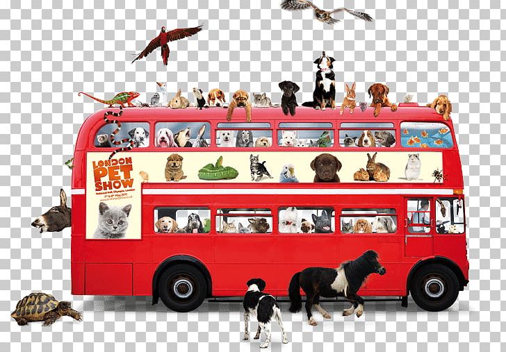 Dog Pet Double-decker Bus Animal Welfare PNG, Clipart, Animals, Animal Welfare, Bus, Dog, Doubledecker Bus Free PNG Download