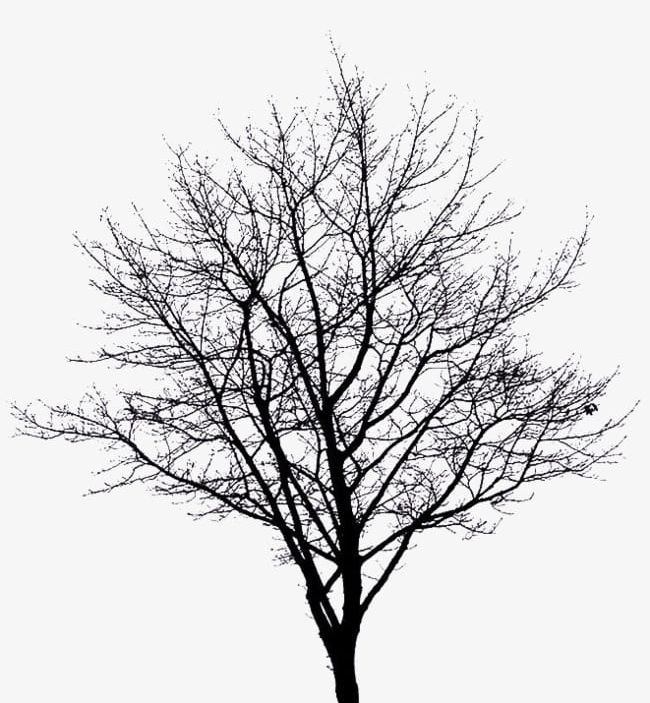 S Of Dead Trees PNG, Clipart, Backgrounds, Bare Tree, Black Color, Branch, Dead Clipart Free PNG Download