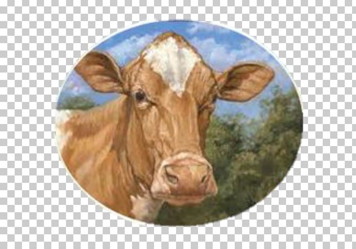 Dairy Cattle Guernsey Cattle Jersey Cattle Holstein Friesian Cattle Beef Cattle PNG, Clipart, Beef Cattle, Cattle, Cattle Like Mammal, Cow Goat Family, Dairy Free PNG Download