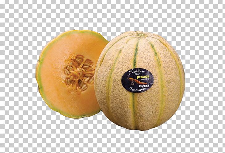 Honeydew Cantaloupe Galia Melon Cucurbita PNG, Clipart, Calabaza, Cantaloupe, Cucumber, Cucumber Gourd And Melon Family, Cucumis Free PNG Download