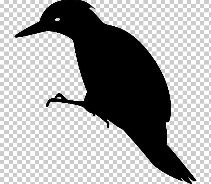 Woodpecker Bird PNG, Clipart, Animals, Beak, Bird, Black And White, Computer Icons Free PNG Download