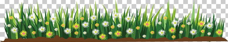 Flower Cartoon Illustration PNG, Clipart, Color, Encapsulated Postscript, Flowering Plants, Flowers, Graphic Design Free PNG Download