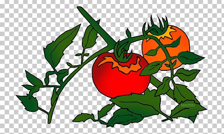 Plant Food Tomato Botany PNG, Clipart, Apple, Artwork, Botany, Chrysanthemum, Fictional Character Free PNG Download