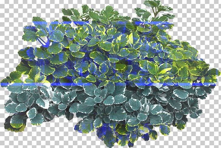 Portable Network Graphics GIF Shrub PNG, Clipart, Animaatio, Blue, Bushes, Computer Graphics, Desktop Wallpaper Free PNG Download