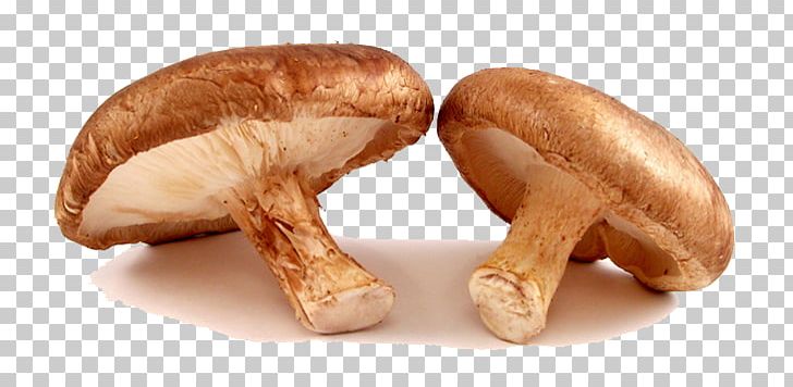 Shiitake Organic Food Common Mushroom Edible Mushroom PNG, Clipart, Agaricaceae, Champignon, Common Mushroom, Cooking, Diet Free PNG Download